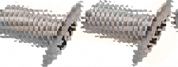 Tamper Resistant-18-8 S/S