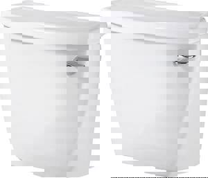 @ CCY 1.1 GPF 2 PC CLST TANK WHIT