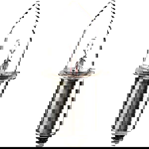 Incandescent Miniature & Specialty S8 Lamp