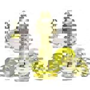 5/16X2-1/4 SELF ADJ CLST BLT