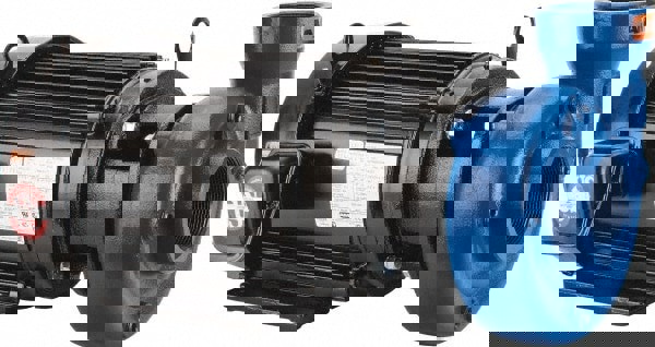 AC Straight Pump: 230/460V, 10 hp, 3 Pha