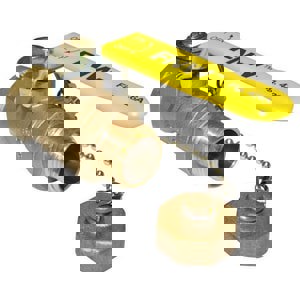 NP 3/4 FIP X 3/4 HOSE BRS BV W/ CC