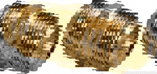 Brass Flared Tube Union: 1/8