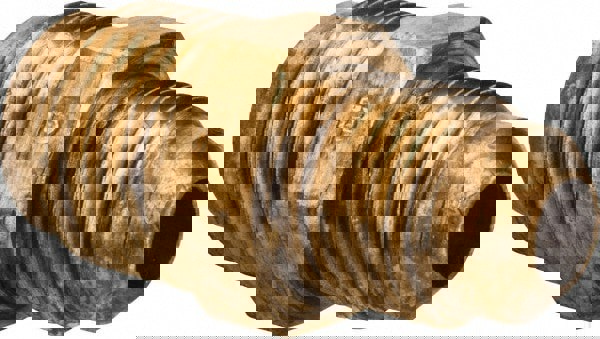 Brass Flared Tube Union: 3/8 x 5/16