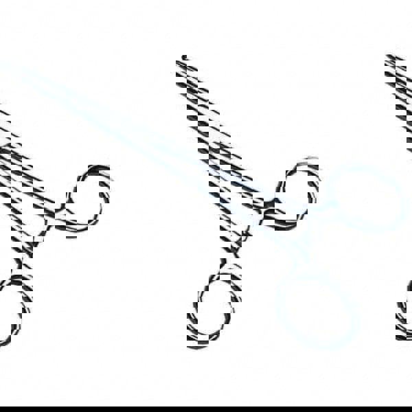 Scissors, Forceps & Tweezers; Product Type: Forceps ; Blade Style: Straight ; UNSPSC Code: 42291600