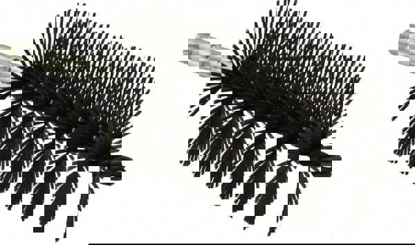 Flat Wire Single Spiral Flue Scraper: 3