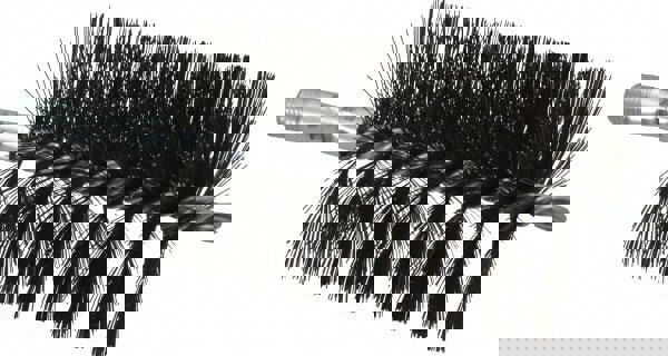 Double Stem/Single Spiral Flue Brush: 3