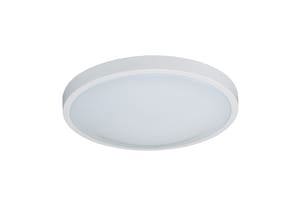 CCN WHIT 1 24W LED CEIL LGHT