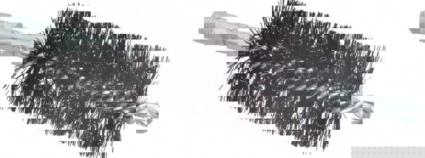 Double Stem/Spiral Tube Brush: 1-3/4