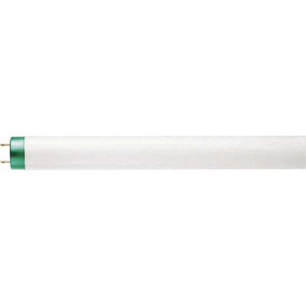 Tubular Fluorescent Lamp: 32 W, T8, Medium Bi-Pin
