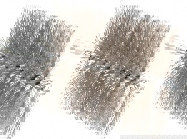 Double Stem & Double/Single Spiral Tube Brush: 4