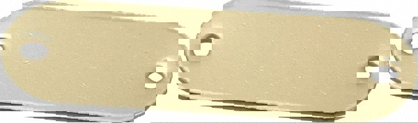 1-29/32 Inch Wide, Style 1, Brass Blank Metal Plate