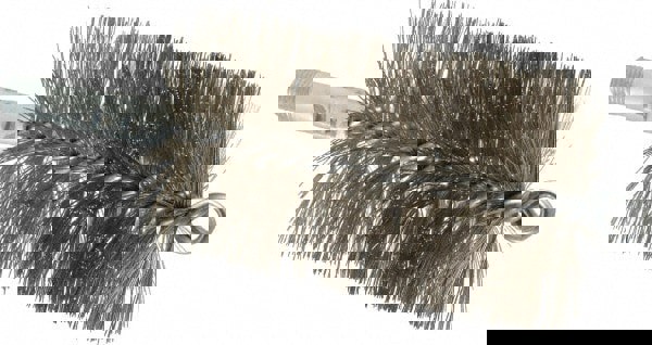 Double Stem/Spiral Tube Brush: 2-3/4