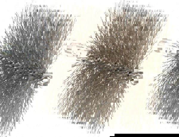 Double Stem/Spiral Tube Brush: 4-1/2