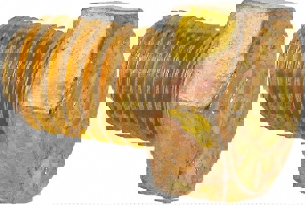 Hex Head Cap Screw: 1/2-13 x 3/4