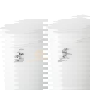 Toilet Tank Flush Lever in Polished Nickel