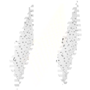 CCN 2.5 GPM 10 SQ RNSHWR SHWRHD BN