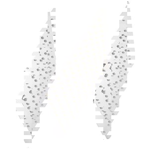 CCN 2.5 GPM 10 SQ RNSHWR SHWRHD CP