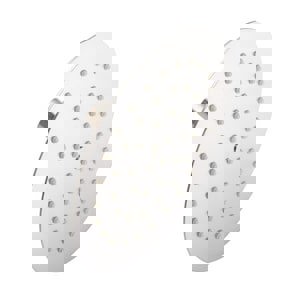 CCN 2.5 GPM 8 RND RNSHWR SHWRHD BN