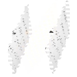 CCN 2.5 GPM 8 SQ RNSHWR SHWRHD BN