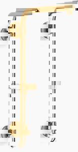 Shower Rail in Vibrant Brushed Moderne Brass