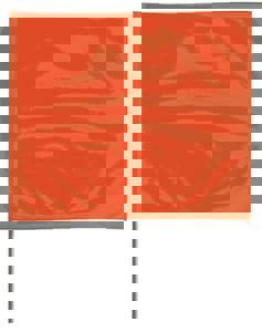 4X5 21 WIRE FLAG ORAN GLO 100 PK