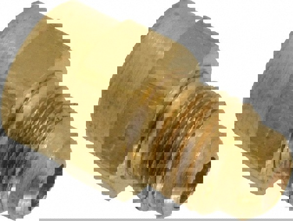 Brass Flared Tube Connector: 1/4