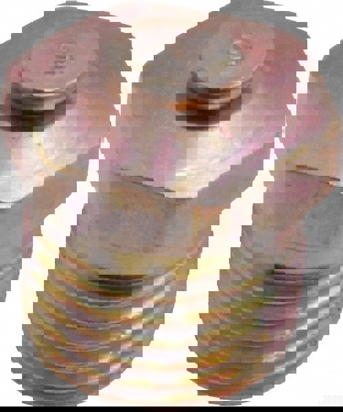 1/8 Thread, 1 to 5 psi Relief Pressure, Steel, Zinc Plated, Relief Vent