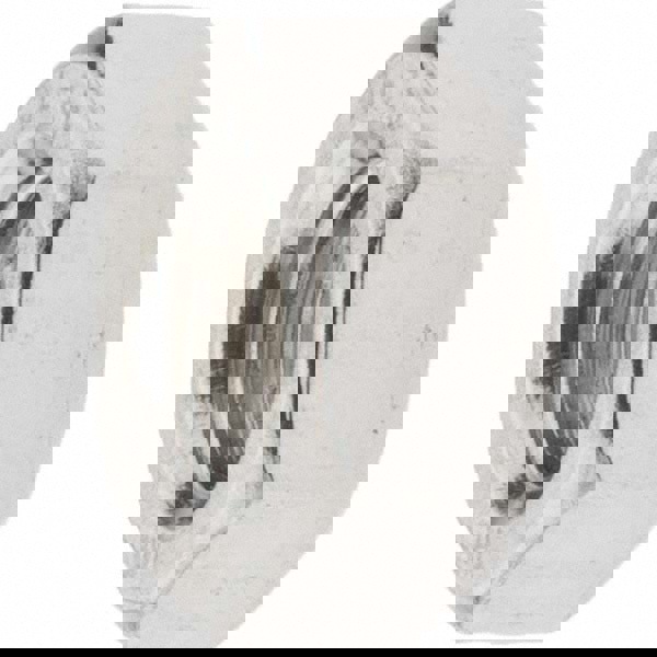 M8x1.25 Stainless Steel Right Hand Hex Nut