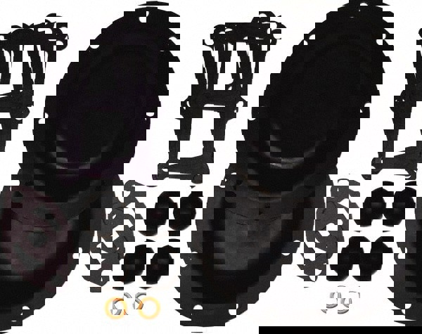 Diaphragm Pump Fluid Section Repair Kit: Buna-N, Includes Check Balls, Diaphragms & Gasket, Use with S1F Metallic