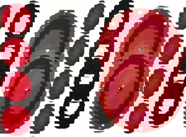 Diaphragm Pump Fluid Section Repair Kit: Santoprene, Includes Check Balls, Diaphragms & Gasket, Use with S05 Non-Metallic