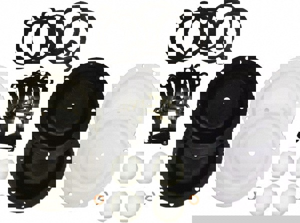 Diaphragm Pump Fluid Section Repair Kit: Polytetrafluoroethylene, Includes Check Balls, Diaphragms & Gasket, Use with S05 Non-Metallic