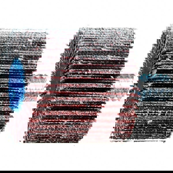 Mounted Flap Wheel: 1