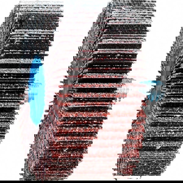 Mounted Flap Wheel: 2