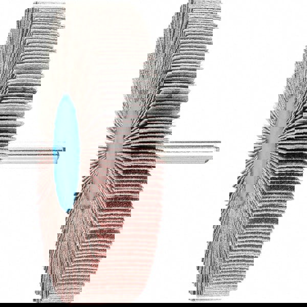 Mounted Flap Wheel: 3