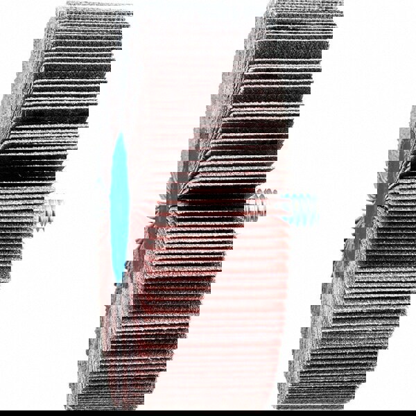 Mounted Flap Wheel: 3