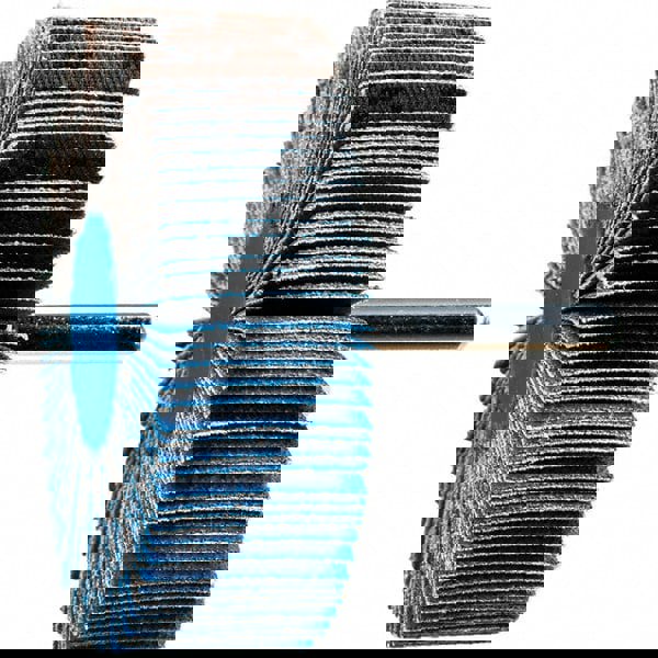 Mounted Flap Wheel: 3