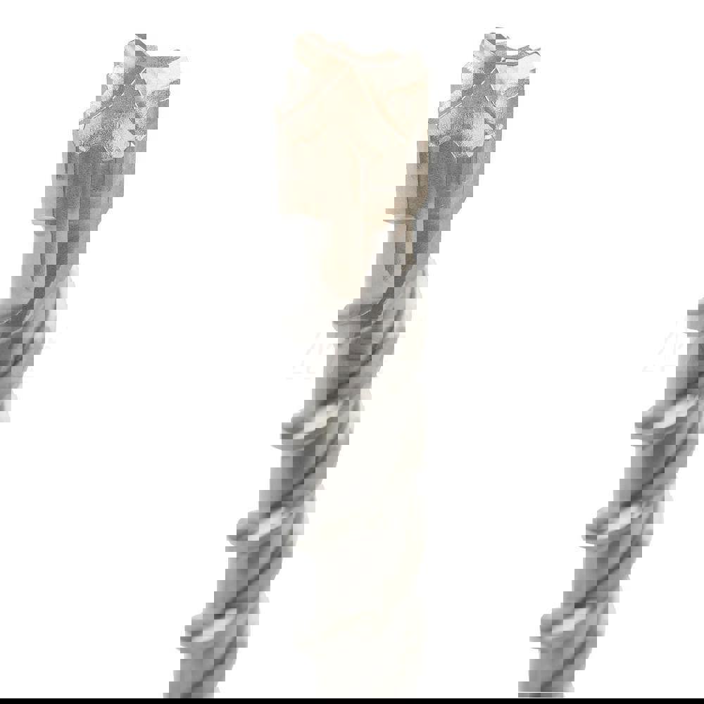 Rotary Drill/Hammer Drill Bits; Drill Bit Size (Inch): 3/4 ; Shank Type: SDS-Max ; Drill Bit Material: Carbide Tipped; High Speed Steel ; Shank Diameter (Decimal Inch): 0.7030 ; Shank Diameter (mm): 0.70 ; Flute Length (Inch): 30