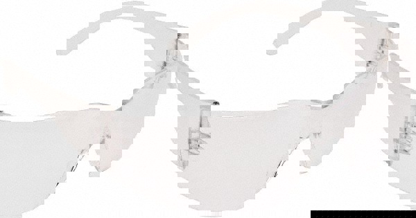 Safety Glasses: Anti-Fog & Scratch-Resistant, Polycarbonate, Clear Lenses, Frameless