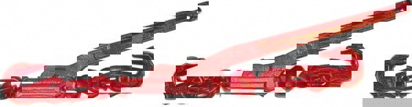 5,400 Lbs. Load Limit Lever Loadbinder