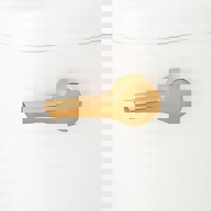 FLUSH LEV F/ *BRADEN CLST BG