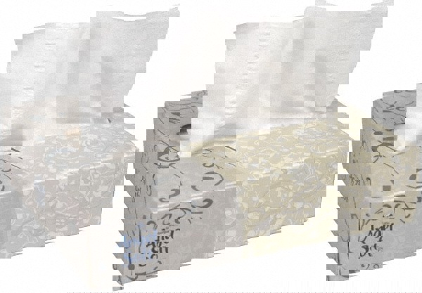 Angel Soft Professional Series 2-Ply Facial Tissue, Personal Size Flat Box