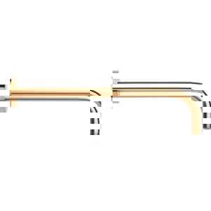 15 SHWR ARM F/ RNSHWR W/ ESC BG