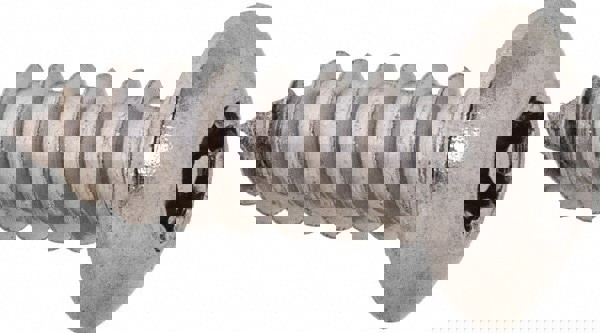 Sheet Metal Screw: #8, Button Head, Torx