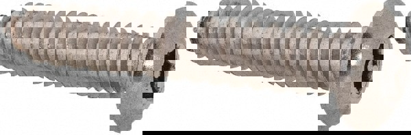 Sheet Metal Screw: #8, Button Head, Torx