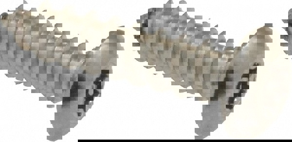 Sheet Metal Screw: #8, Button Head, Torx