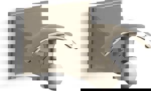 Robe Hook in Vibrant Brushed Bronze