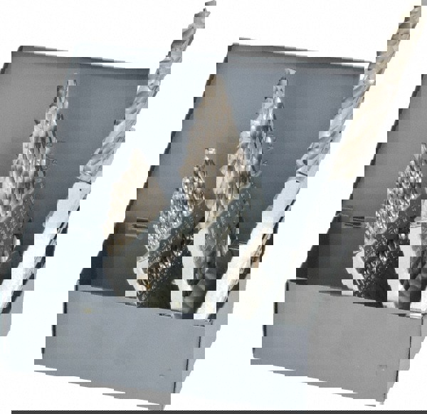 Drill Bit Set: Jobber Length Drill Bits, 29 Pc, 118 &deg;, High Speed Steel