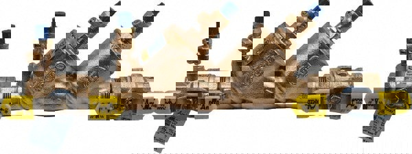 1 Thread, 175 psi WOG Rating, Bronze Double Check Backflow Preventer Valve