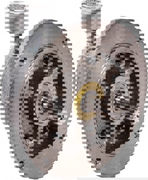 1.7 hp Reversible Flange Air Actuated Motor